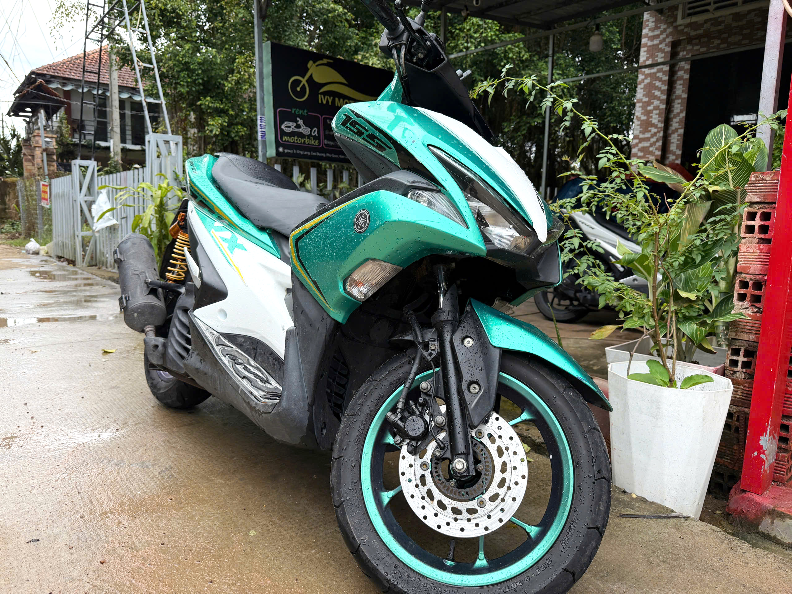 Ivy Motorbike