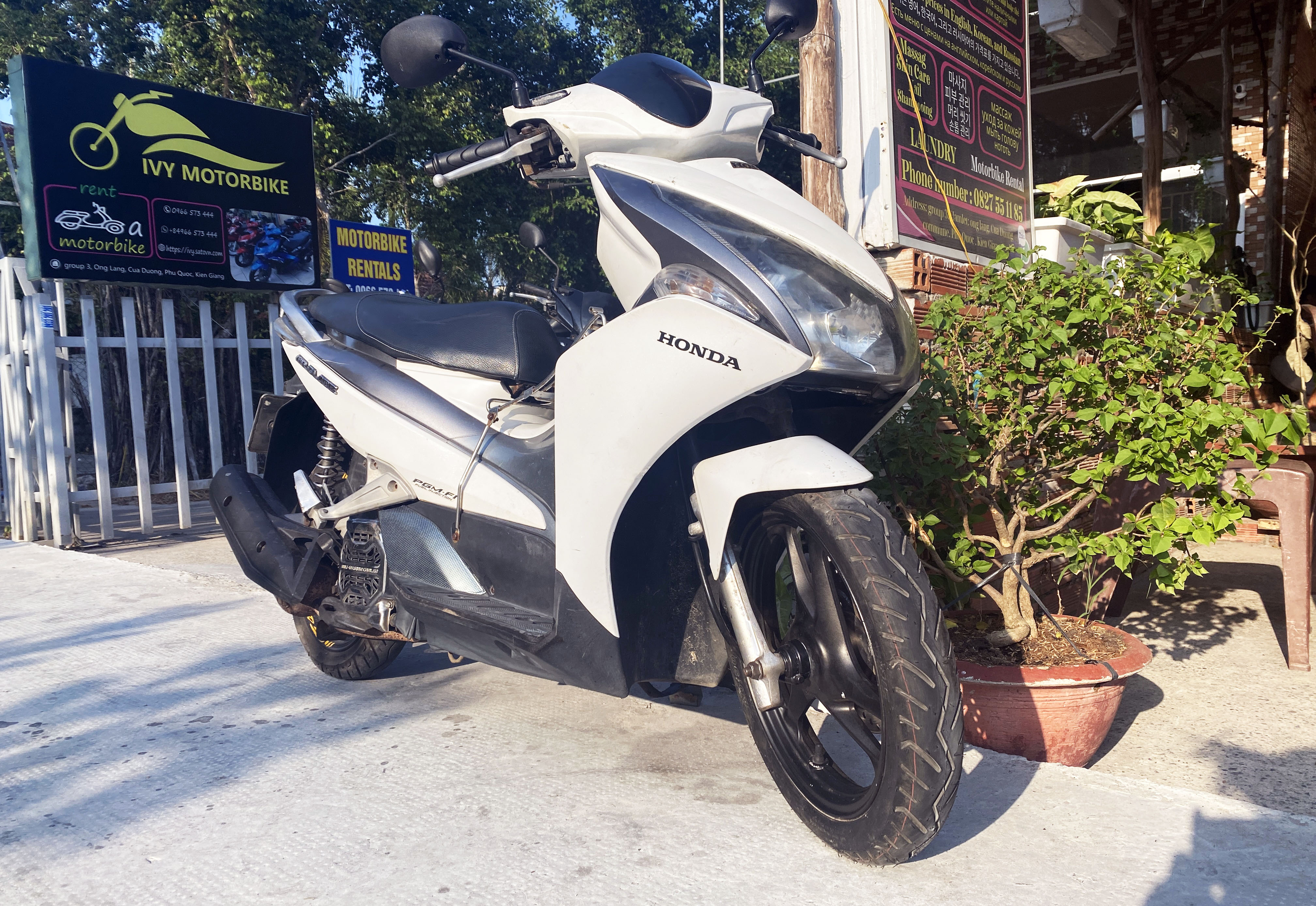 Ivy Motorbike