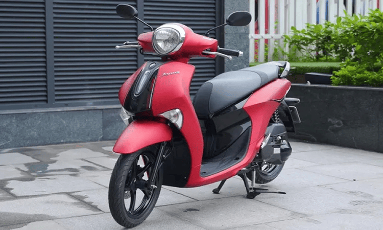 Ivy Motorbike