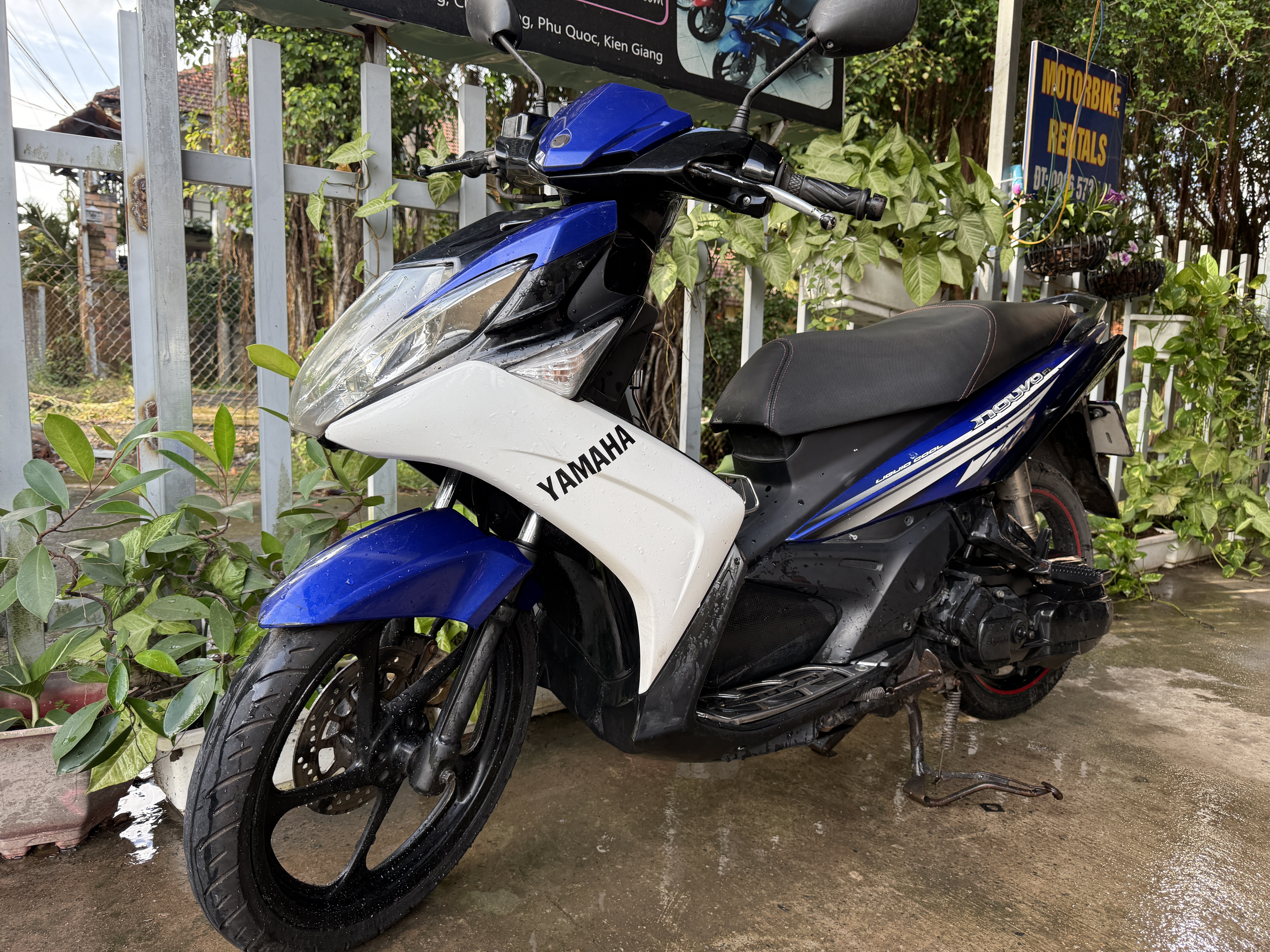 Ivy Motorbike