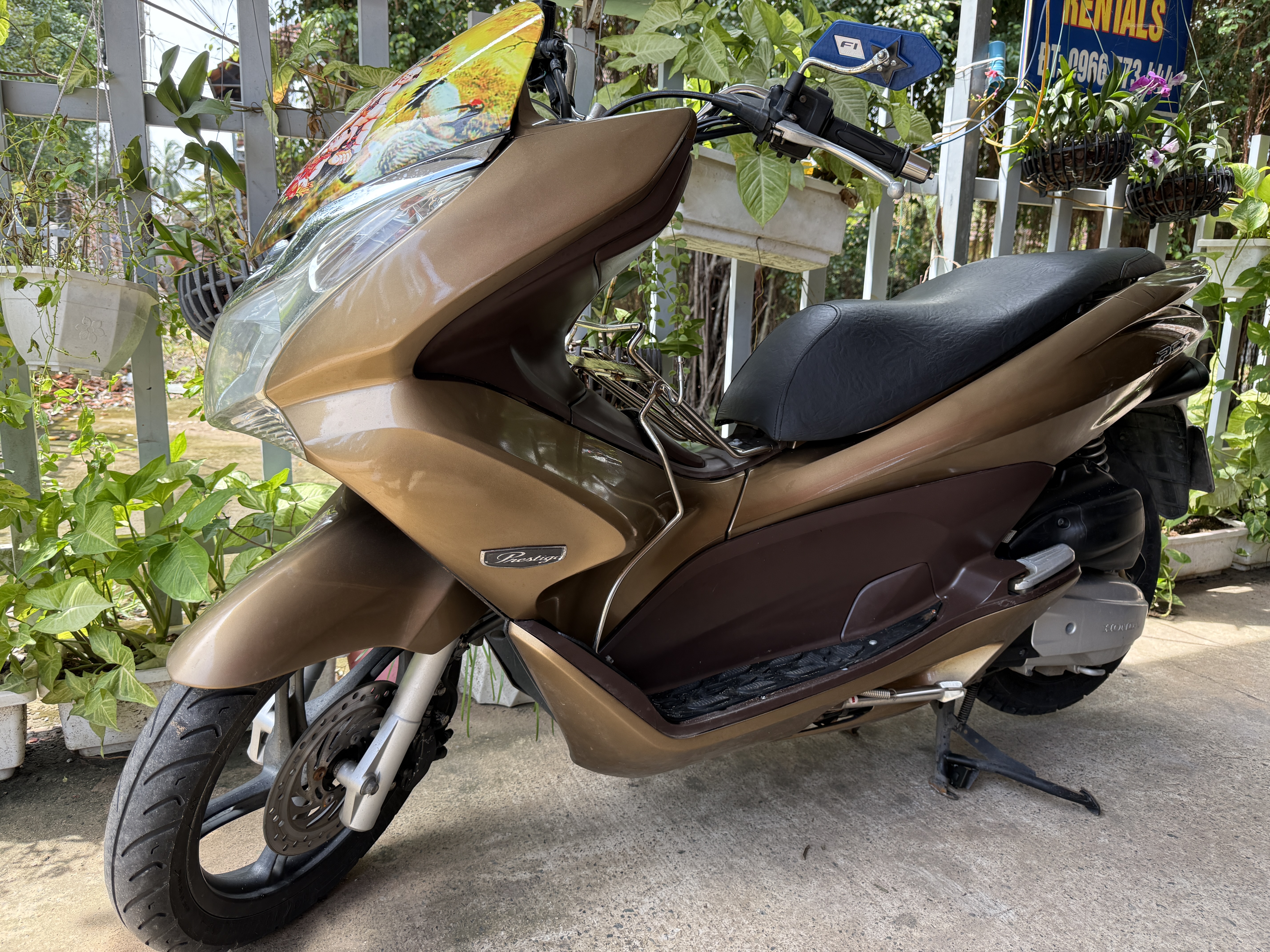 Ivy Motorbike