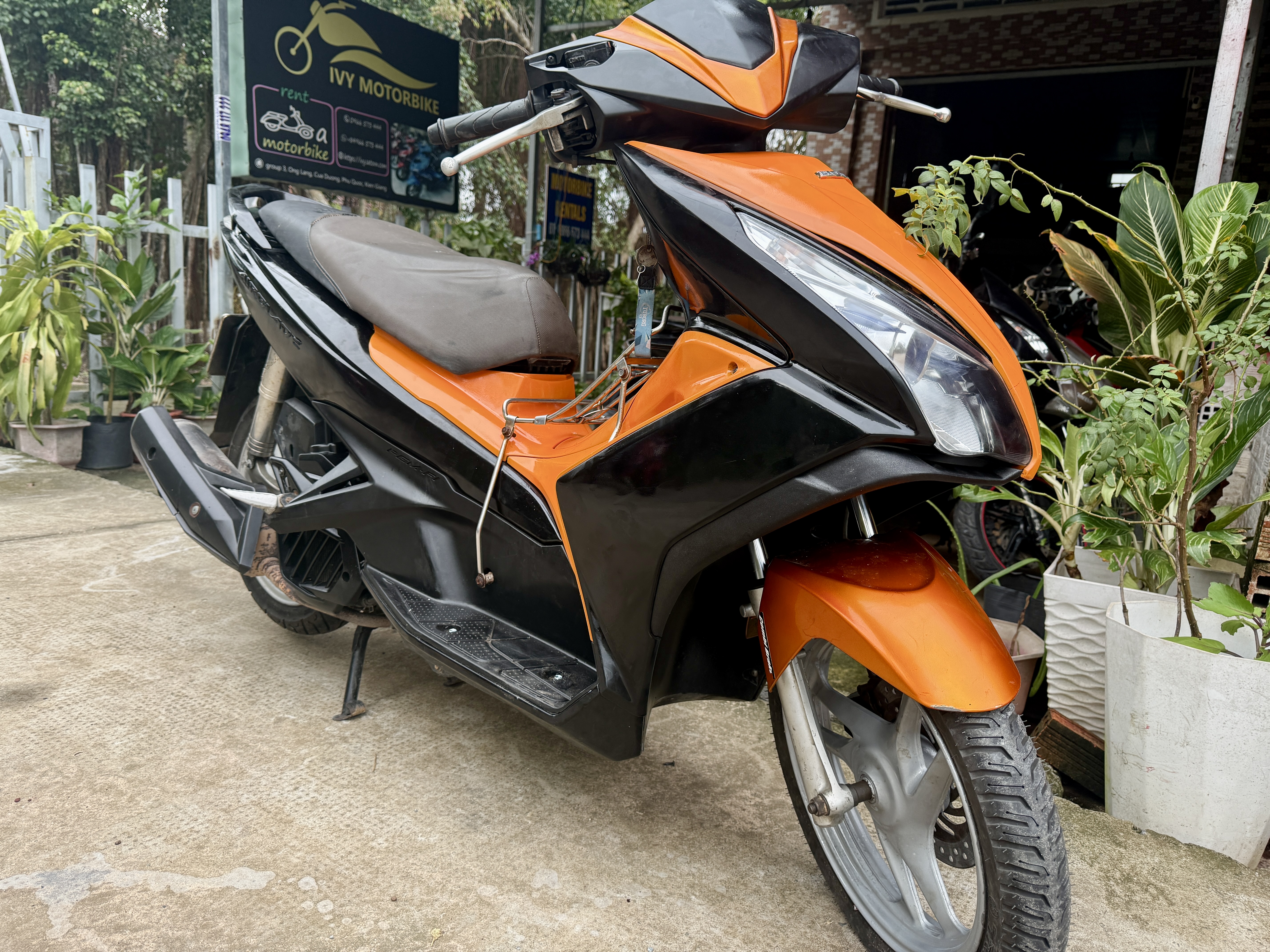 Ivy Motorbike