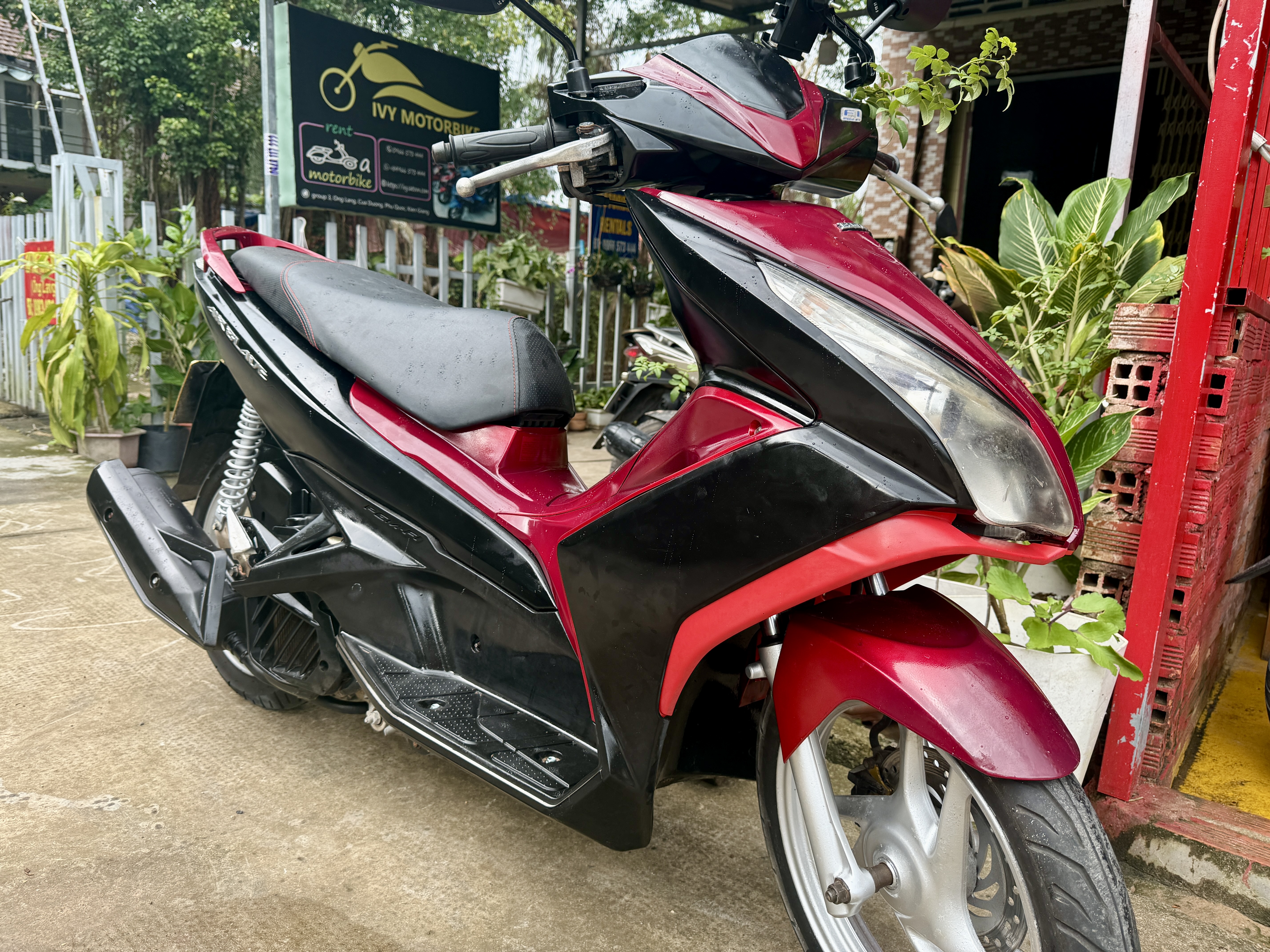 Ivy Motorbike