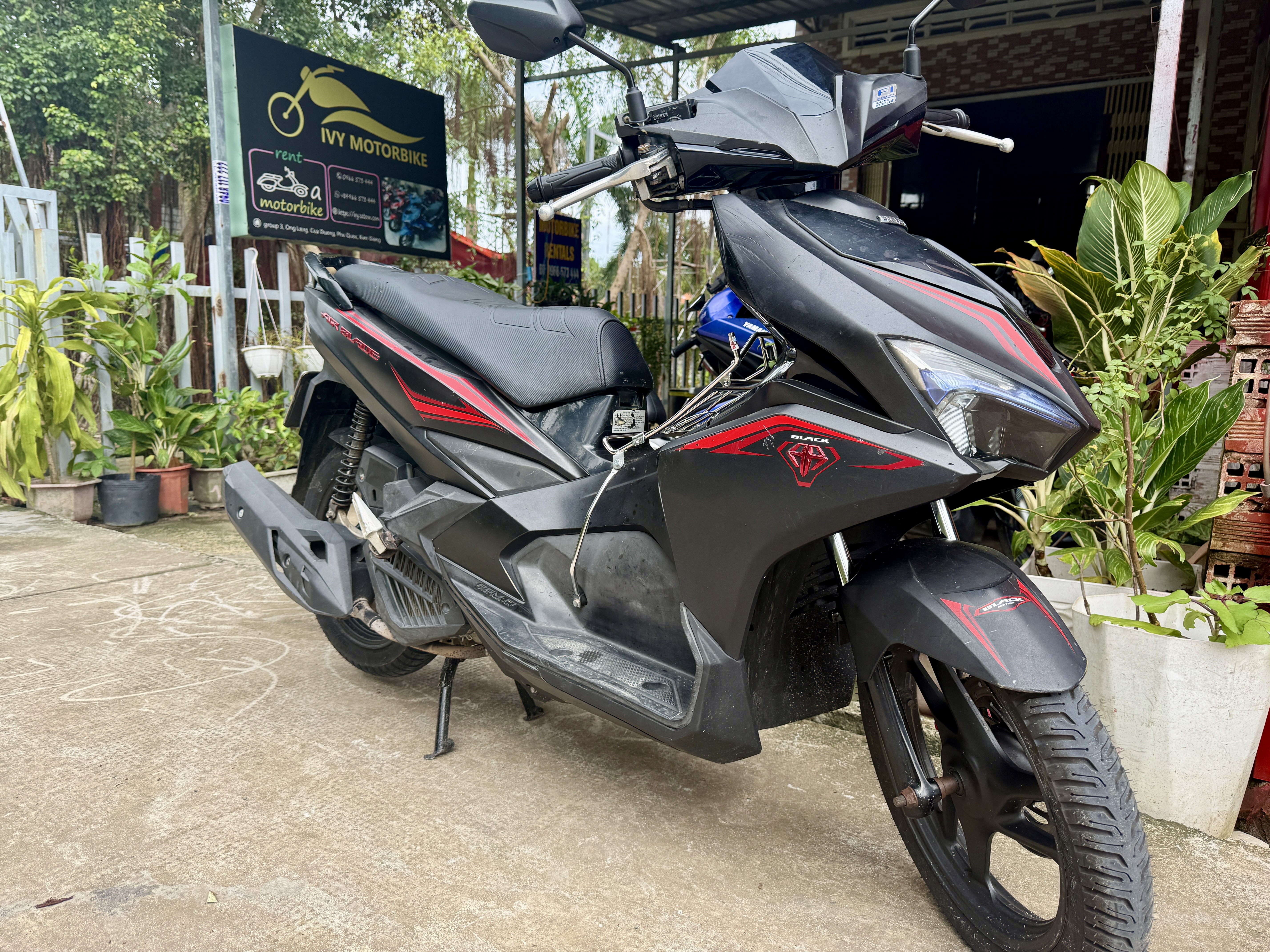 Ivy Motorbike